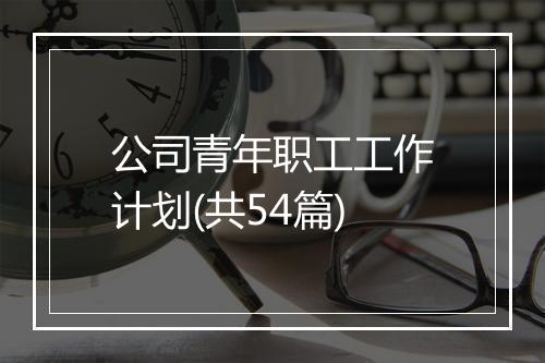 公司青年职工工作计划(共54篇)