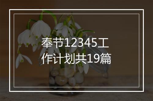 奉节12345工作计划共19篇