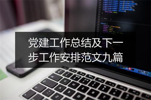 党建工作总结及下一步工作安排范文九篇