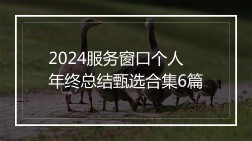 2024服务窗口个人年终总结甄选合集6篇