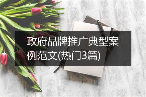 政府品牌推广典型案例范文(热门3篇)