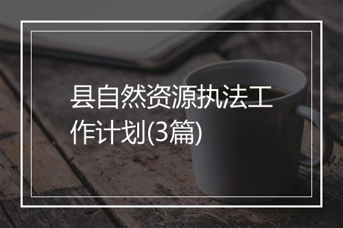 县自然资源执法工作计划(3篇)