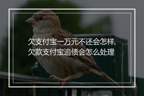 欠支付宝一万元不还会怎样,欠款支付宝追债会怎么处理