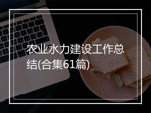农业水力建设工作总结(合集61篇)