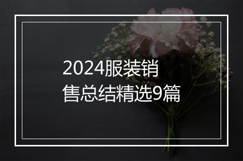 2024服装销售总结精选9篇