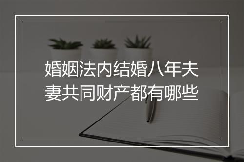 婚姻法内结婚八年夫妻共同财产都有哪些