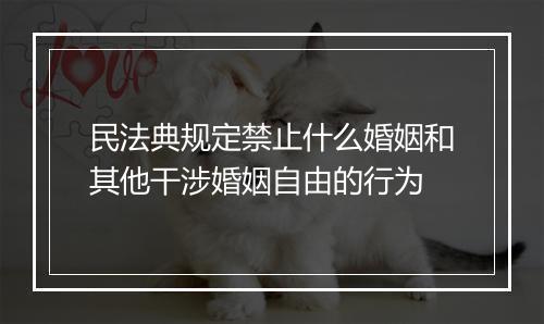 民法典规定禁止什么婚姻和其他干涉婚姻自由的行为
