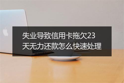 失业导致信用卡拖欠23天无力还款怎么快速处理