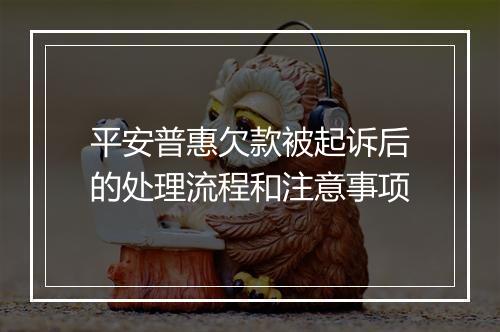 平安普惠欠款被起诉后的处理流程和注意事项