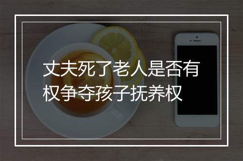 丈夫死了老人是否有权争夺孩子抚养权