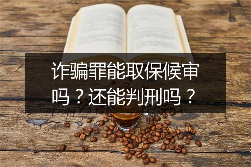 诈骗罪能取保候审吗？还能判刑吗？