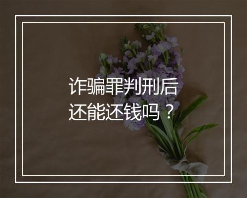 诈骗罪判刑后还能还钱吗？