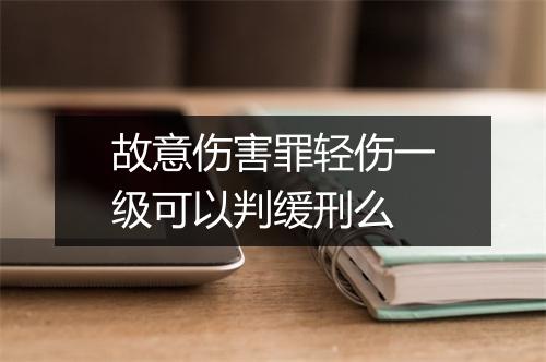 故意伤害罪轻伤一级可以判缓刑么