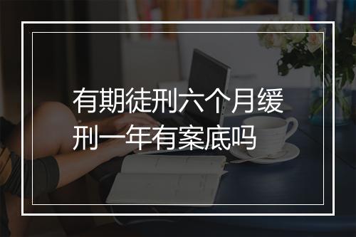 有期徒刑六个月缓刑一年有案底吗