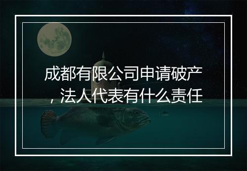 成都有限公司申请破产，法人代表有什么责任