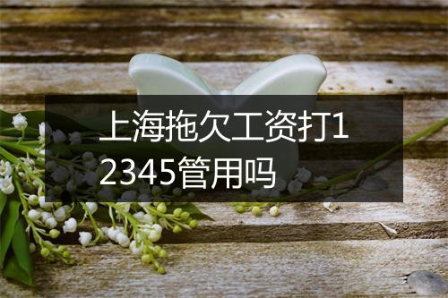 上海拖欠工资打12345管用吗