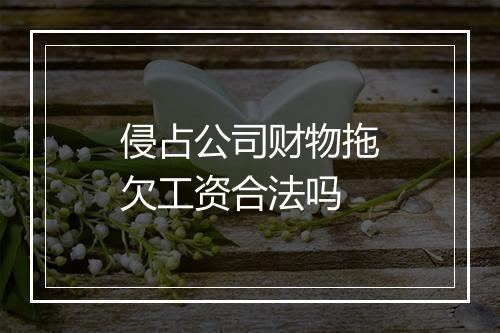 侵占公司财物拖欠工资合法吗