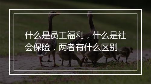 什么是员工福利，什么是社会保险，两者有什么区别