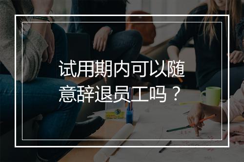 试用期内可以随意辞退员工吗？