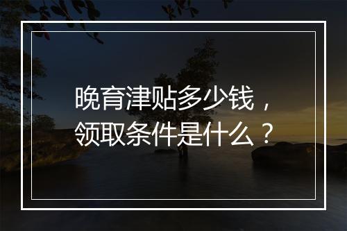 晚育津贴多少钱，领取条件是什么？