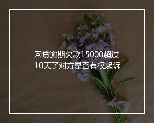 网贷逾期欠款15000超过10天了对方是否有权起诉