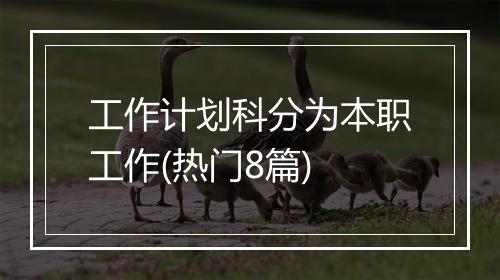工作计划科分为本职工作(热门8篇)