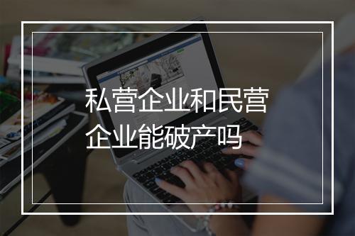 私营企业和民营企业能破产吗