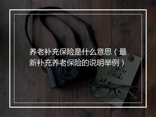 养老补充保险是什么意思（最新补充养老保险的说明举例）