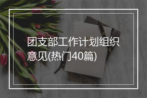 团支部工作计划组织意见(热门40篇)