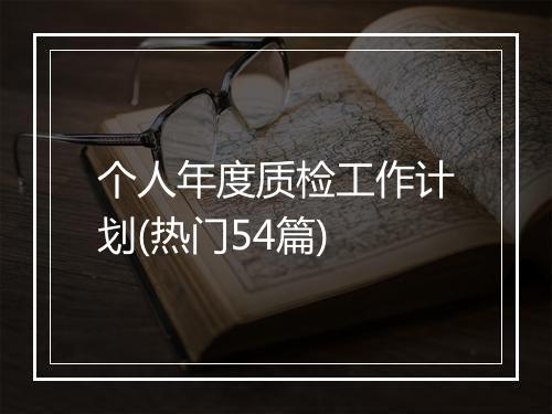 个人年度质检工作计划(热门54篇)