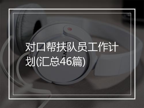 对口帮扶队员工作计划(汇总46篇)