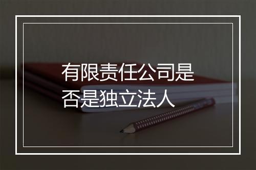 有限责任公司是否是独立法人