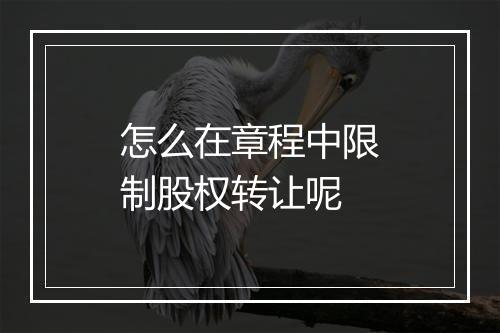 怎么在章程中限制股权转让呢