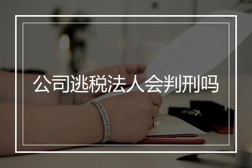 公司逃税法人会判刑吗