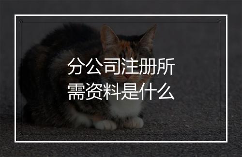 分公司注册所需资料是什么