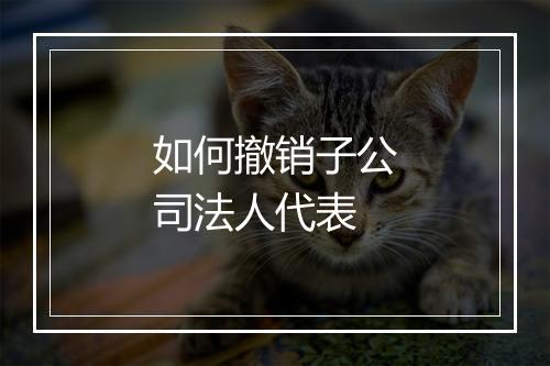 如何撤销子公司法人代表