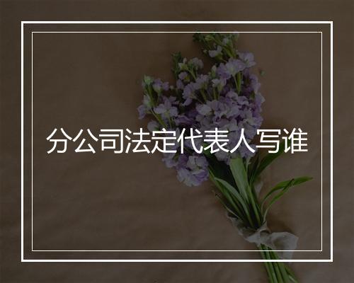 分公司法定代表人写谁