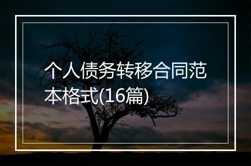 个人债务转移合同范本格式(16篇)