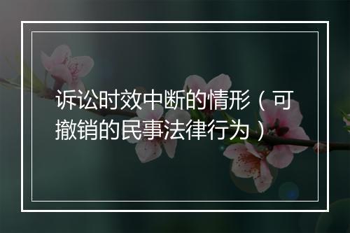 诉讼时效中断的情形（可撤销的民事法律行为）