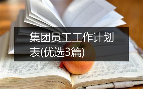 集团员工工作计划表(优选3篇)