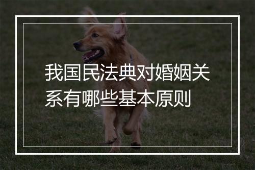 我国民法典对婚姻关系有哪些基本原则