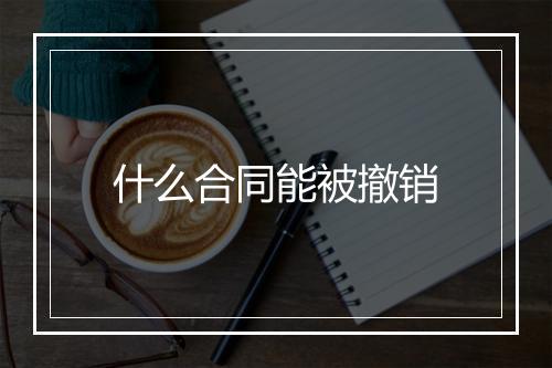 什么合同能被撤销