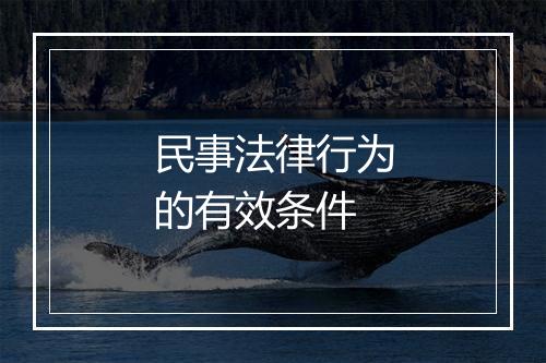 民事法律行为的有效条件