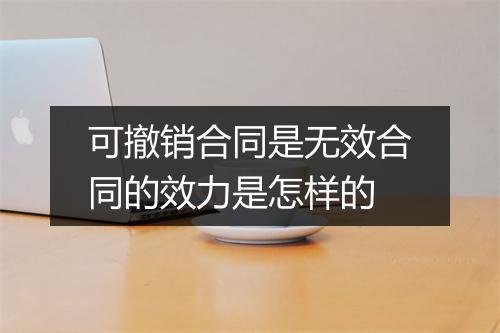可撤销合同是无效合同的效力是怎样的