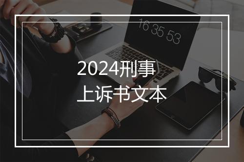 2024刑事上诉书文本