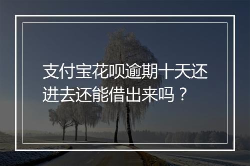 支付宝花呗逾期十天还进去还能借出来吗？
