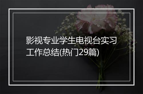 影视专业学生电视台实习工作总结(热门29篇)