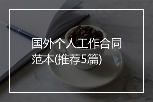 国外个人工作合同范本(推荐5篇)