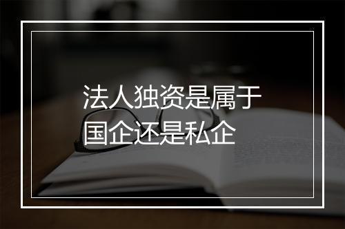 法人独资是属于国企还是私企