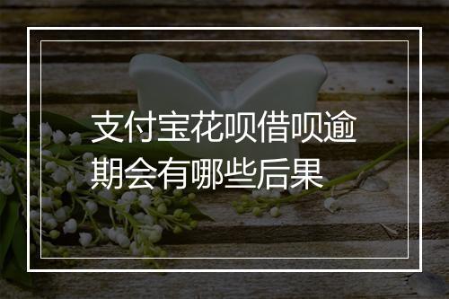 支付宝花呗借呗逾期会有哪些后果